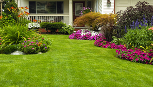 Columbia Landscaping
